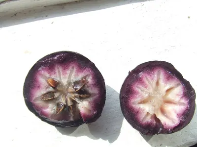 Star apple