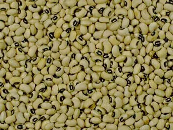 Blackeyed pea