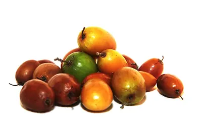Chinese Dates