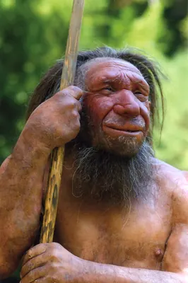 Neanderthal