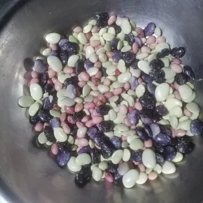 Sieva bean