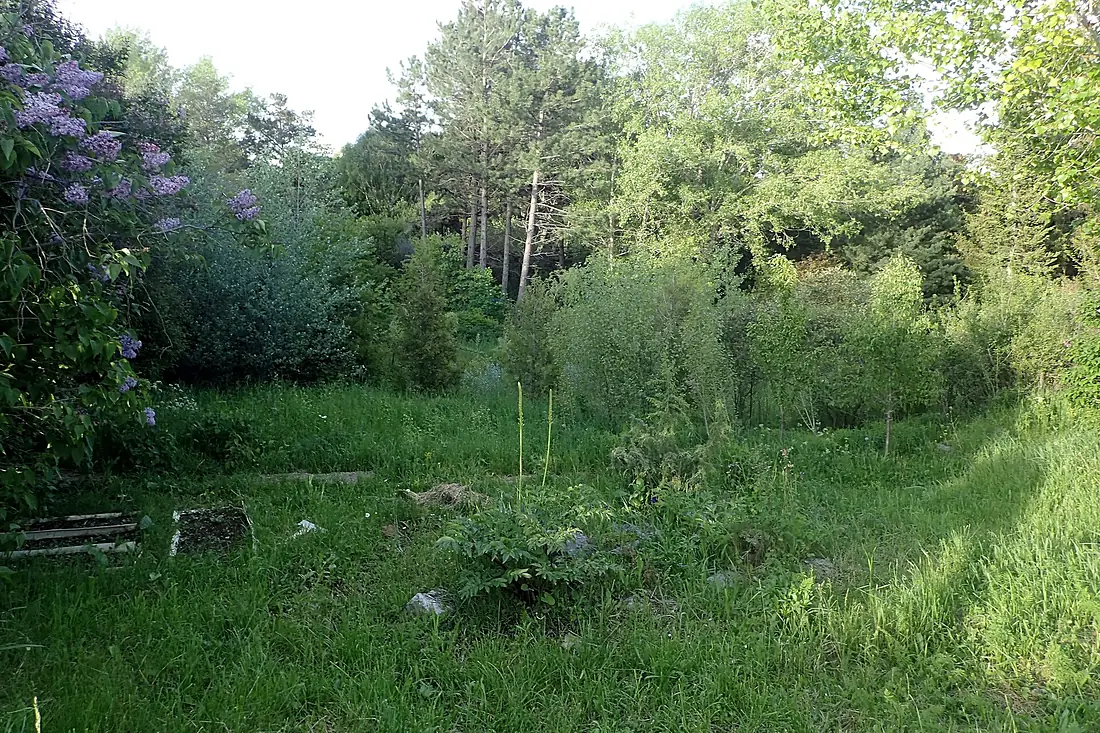 Sevan Botanical Garden kz1