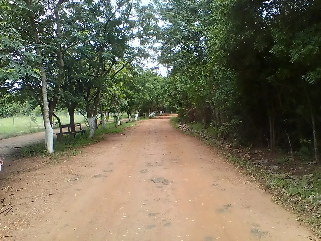 Road in Shai Hills Forest Reserve