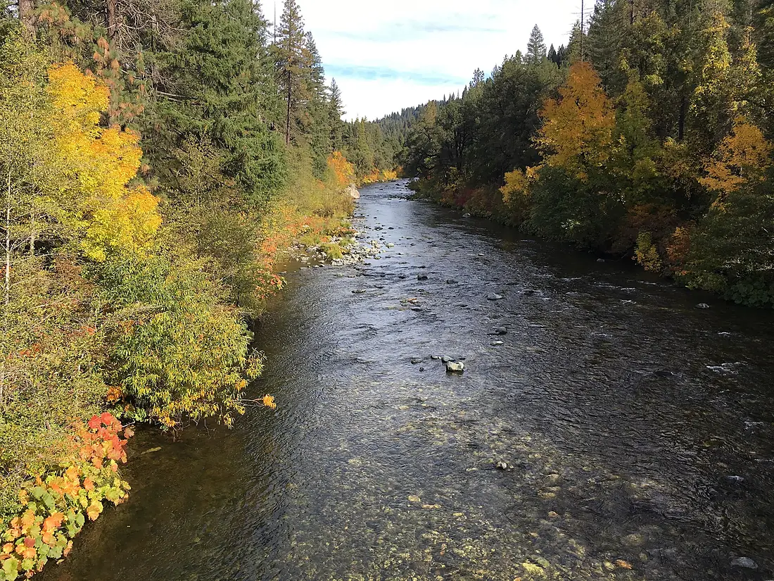 Autumn scene near Sacramento River (23994348947)
