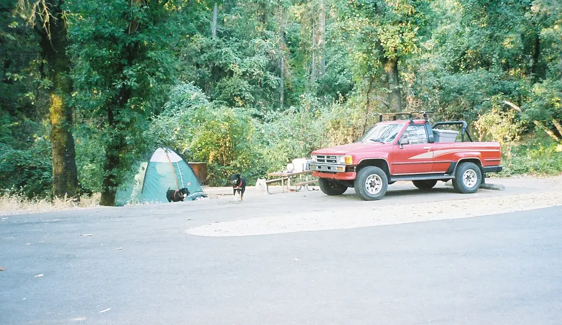 Shasta Lake Bailey Cove