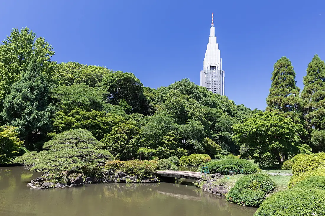 Footbridge over a pond in Shinjuku Gyoen National Garden and NTT DoCoMo Yoyogi Building, Tokyo, Japan