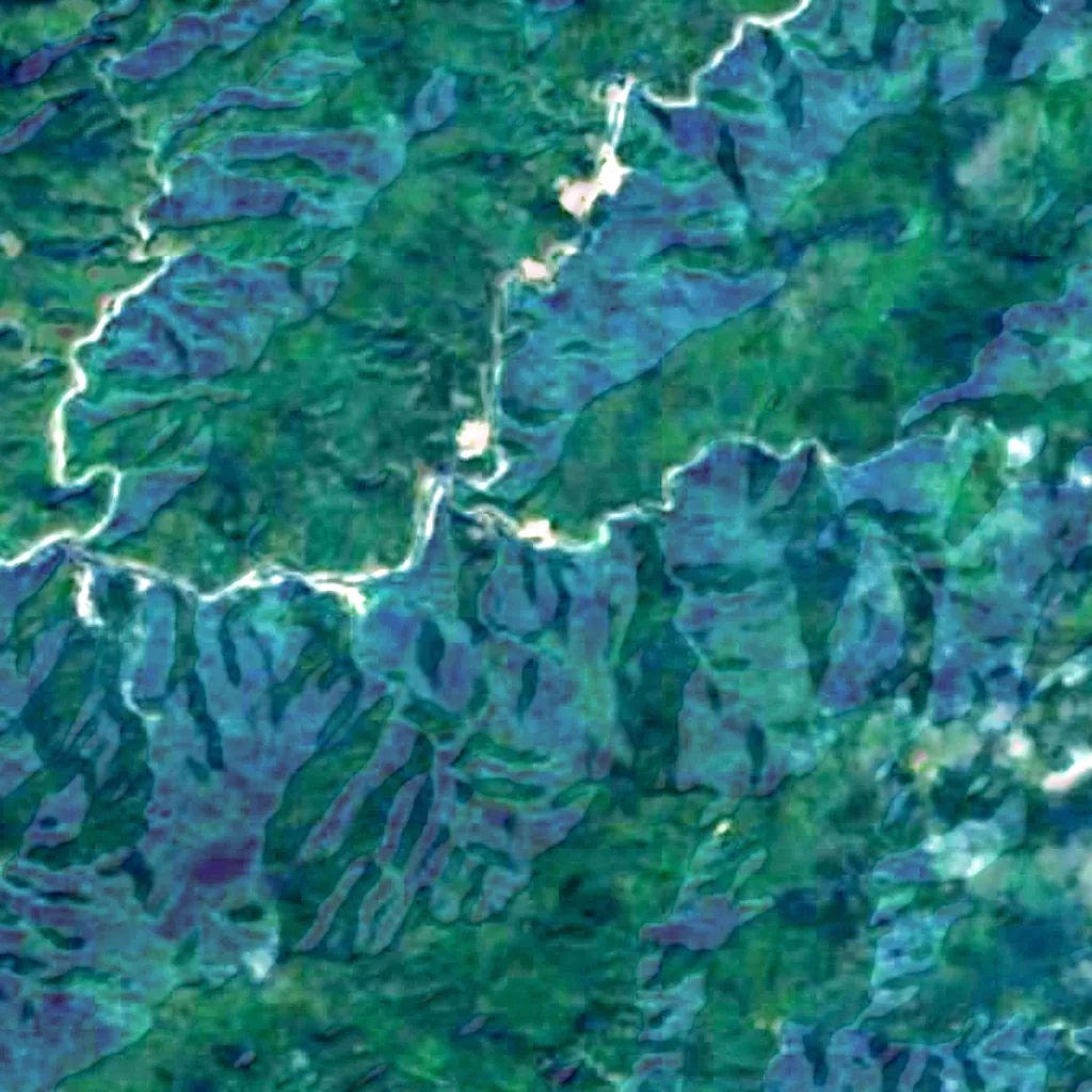 Shuangliu Forest Recreation Area seen from above (Sentinel-2)