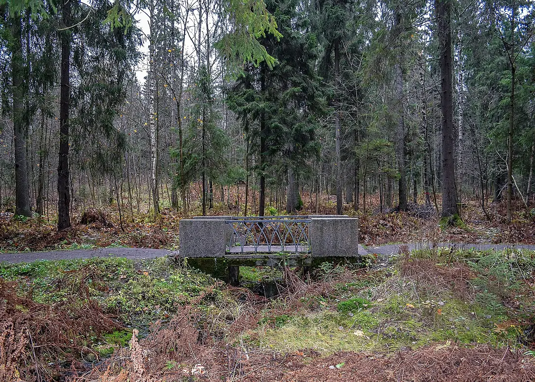 0331Aa. Stone Bridgein Shuvalovsky Park