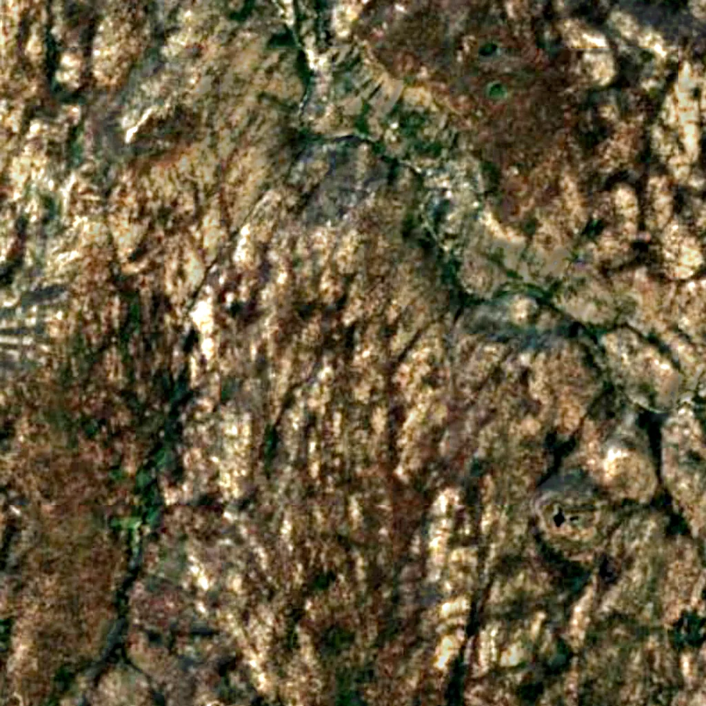 Sierra National Forest seen from above (Sentinel-2)