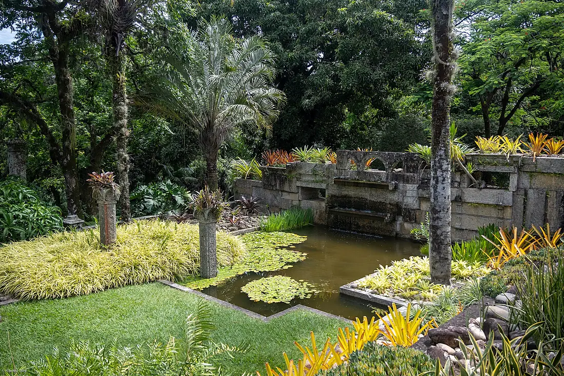 Sítio Roberto Burle Marx - 55374375602