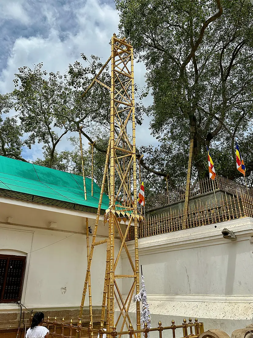 Jaya Sri Maha Bodhi - Arbre sagrat