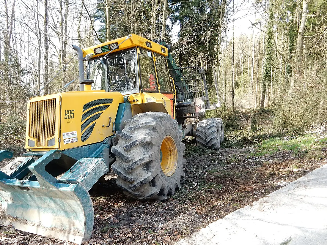 Galmguet vor dem Galmwald