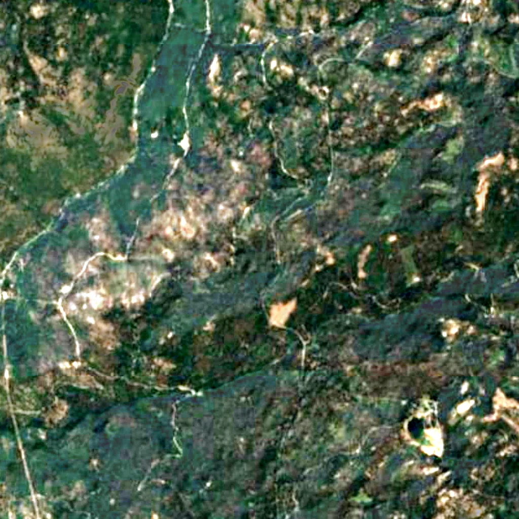 Stanislaus National Forest seen from above (Sentinel-2)