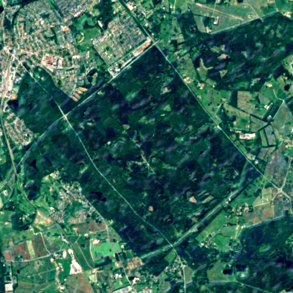 Store Dyrehave seen from above (Sentinel-2)
