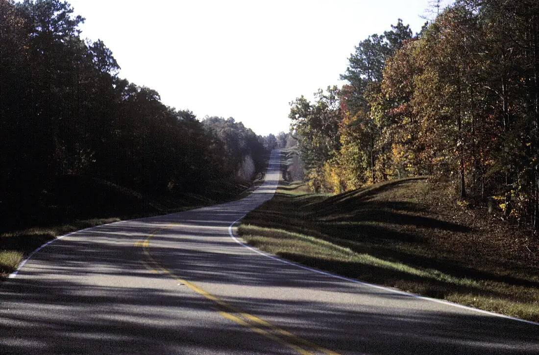 Talladega Scenic Drive - Winding through the Talladega National Forest - NARA - 7722298