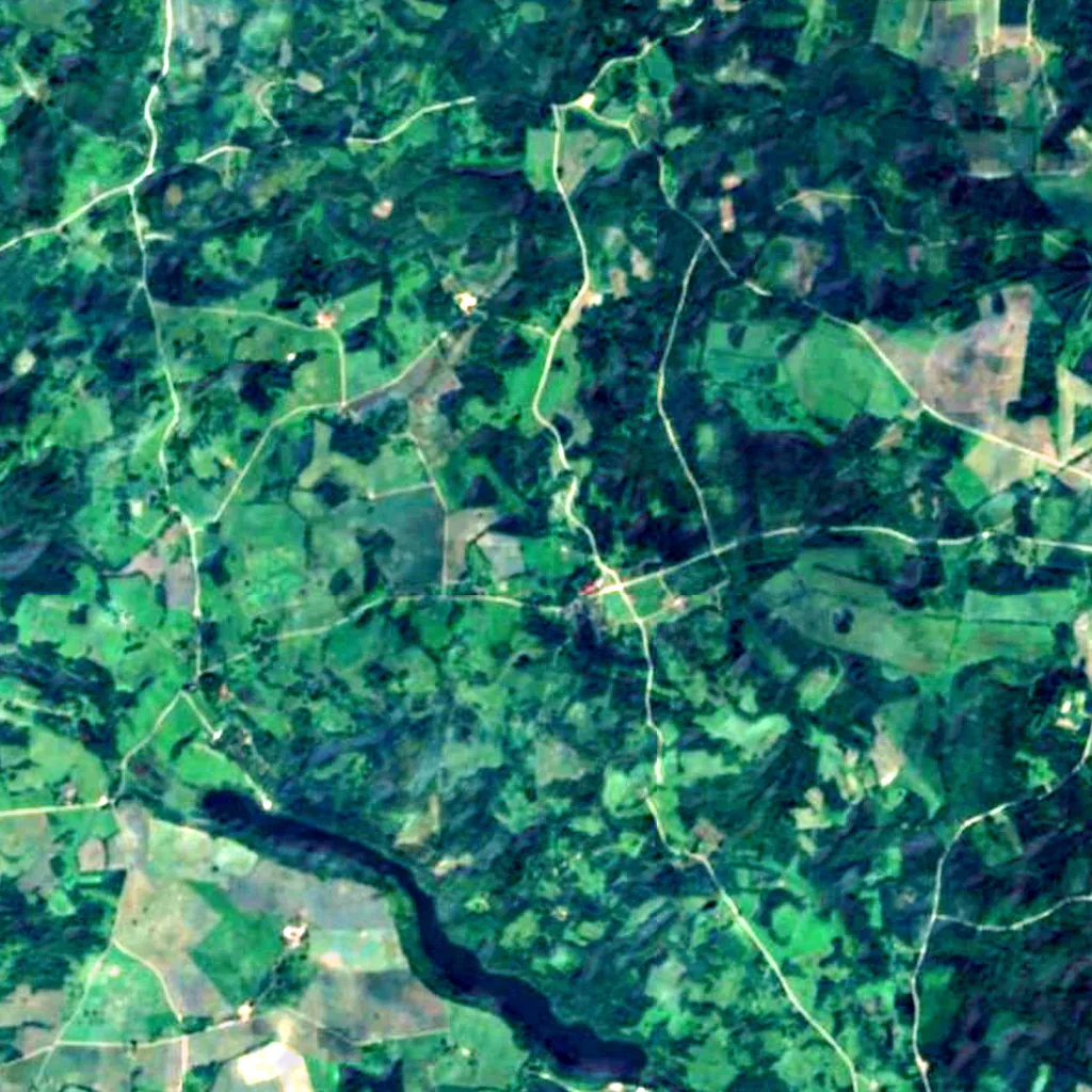 Tamme-Lauri oak seen from above (Sentinel-2)