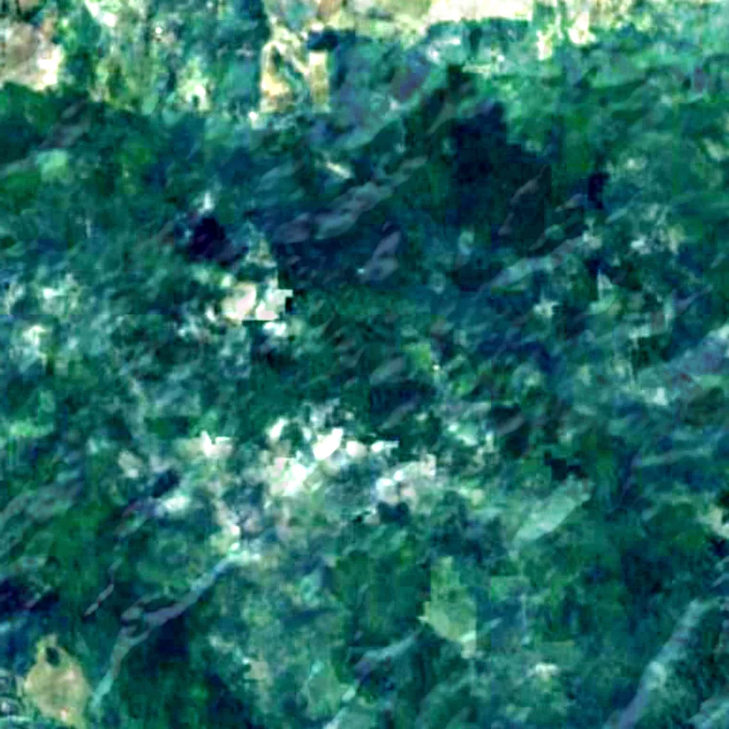 Te Matua Ngahere seen from above (Sentinel-2)