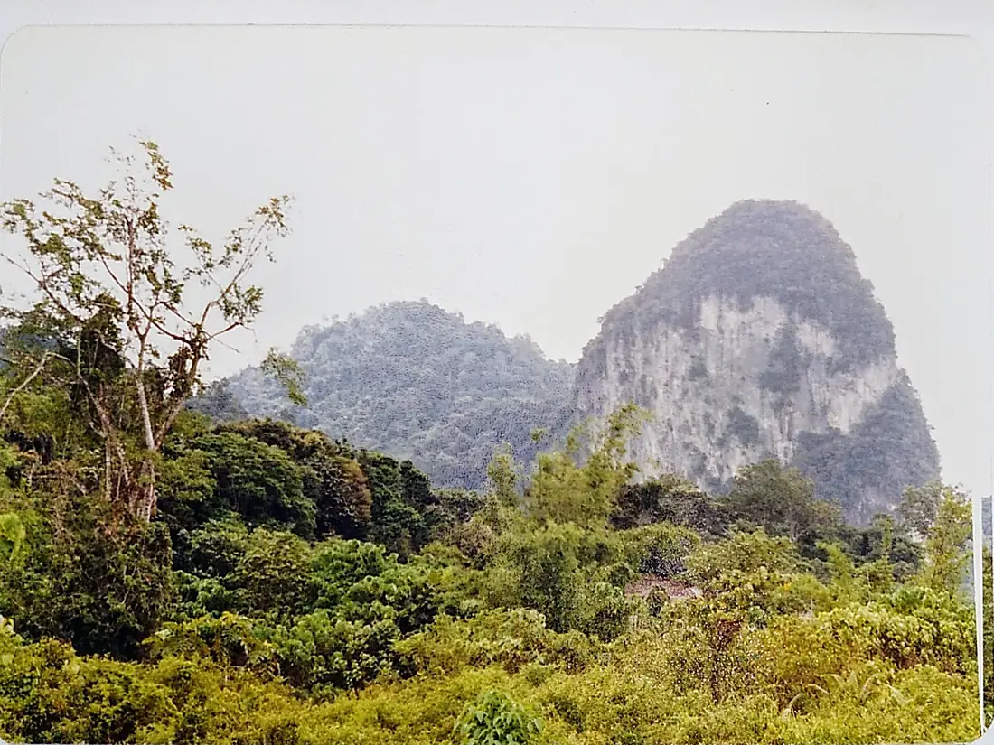 Templer Park 1986