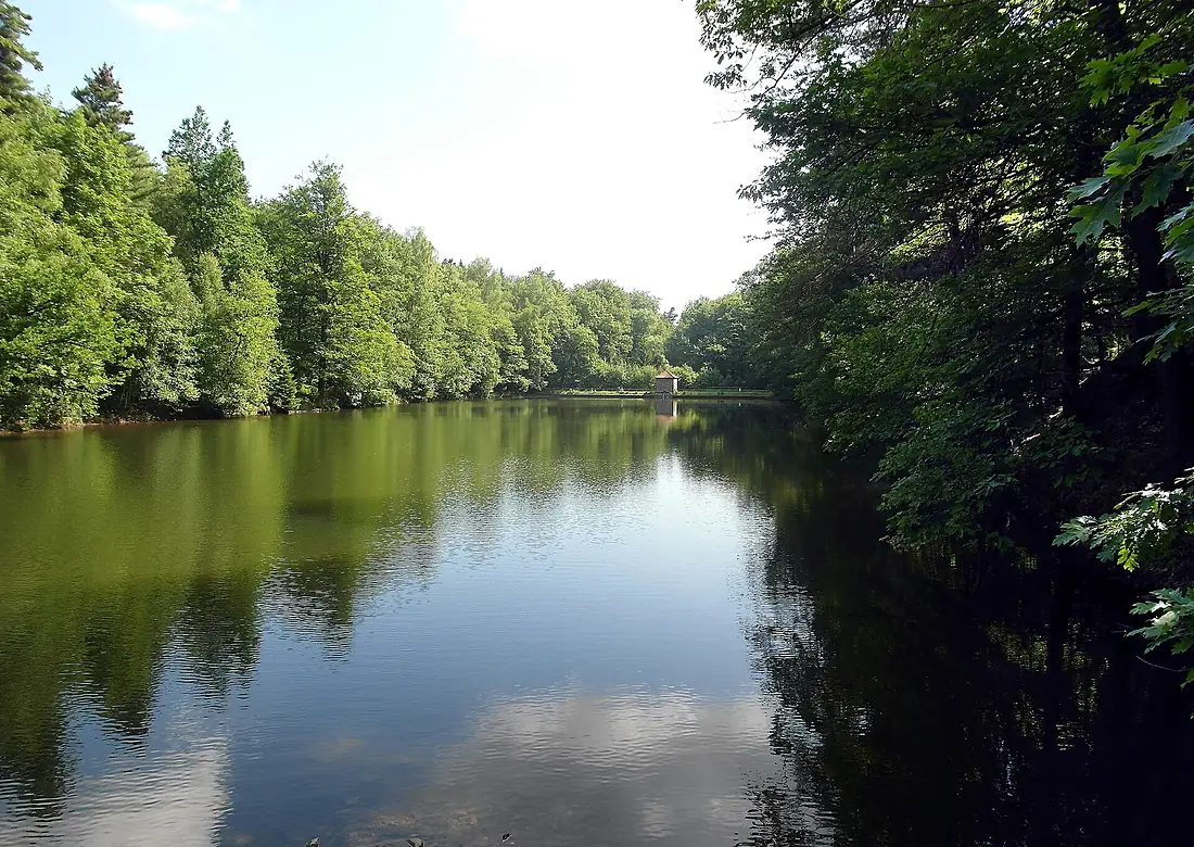 Sandsteinbruch Tharandter Wald