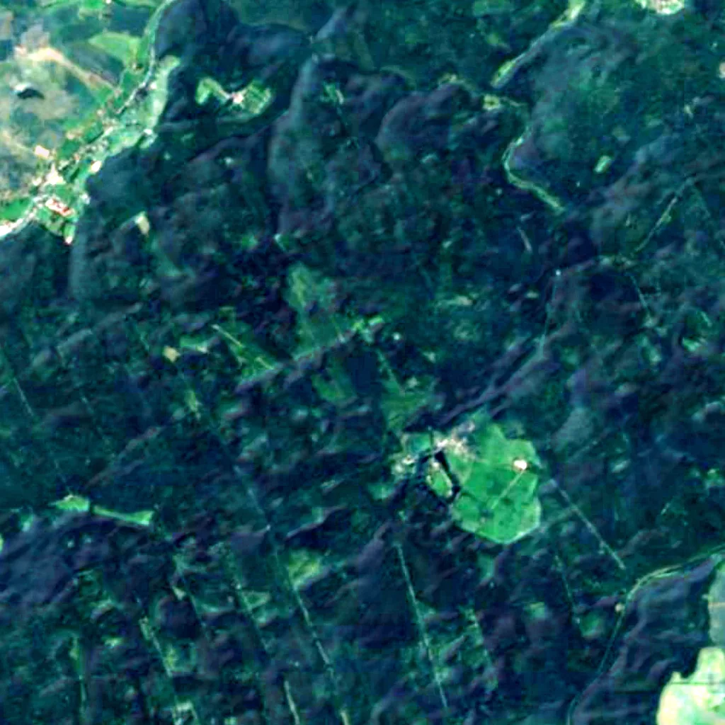 Tharandt Forest seen from above (Sentinel-2)