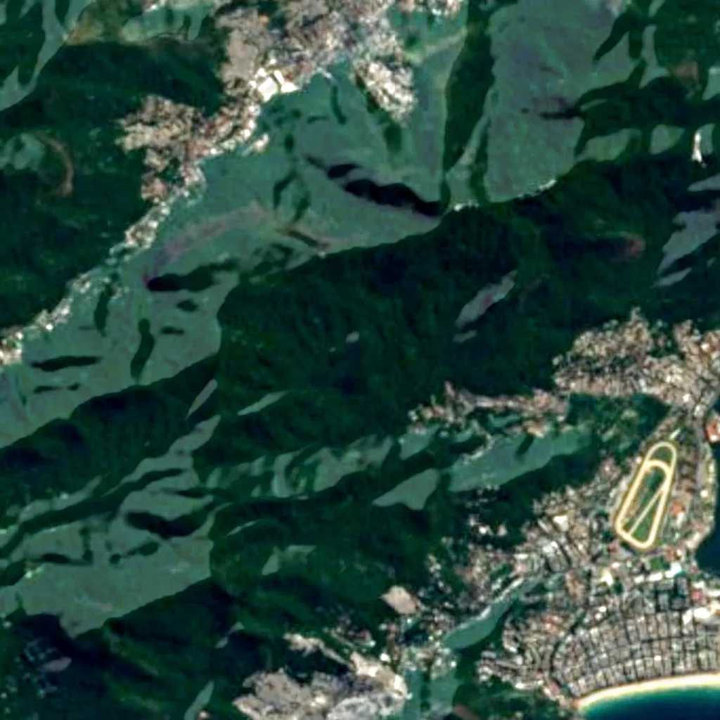 Tijuca Forest seen from above (Sentinel-2)