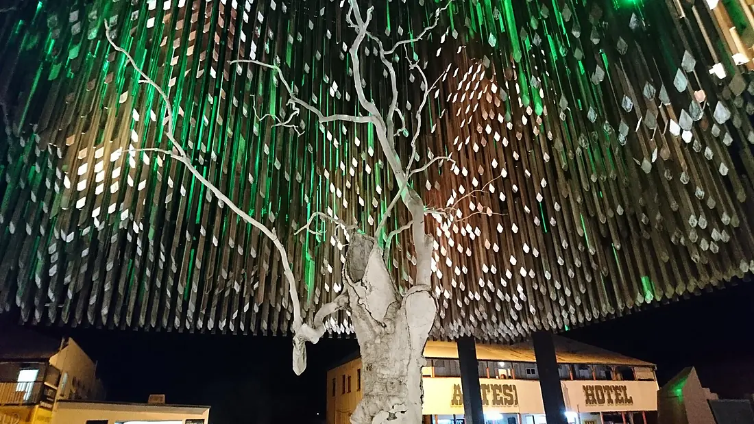 Tree of Knowledge and curtilage Barcaldine QLD 02