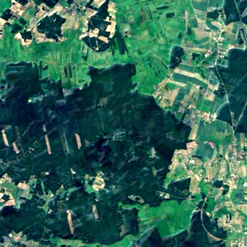 Tuchola Forest seen from above (Sentinel-2)