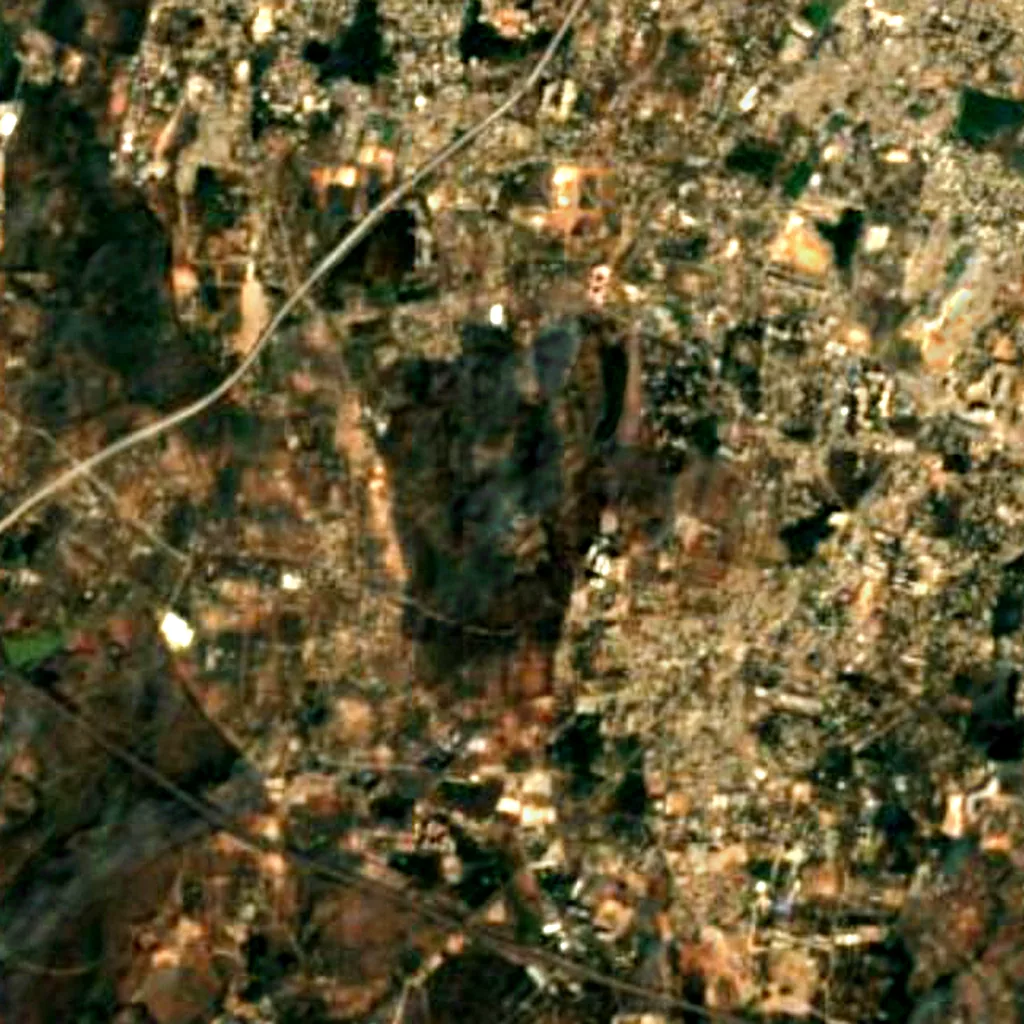 Turahalli Forest seen from above (Sentinel-2)