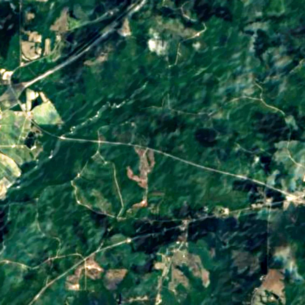 Tuskegee National Forest seen from above (Sentinel-2)