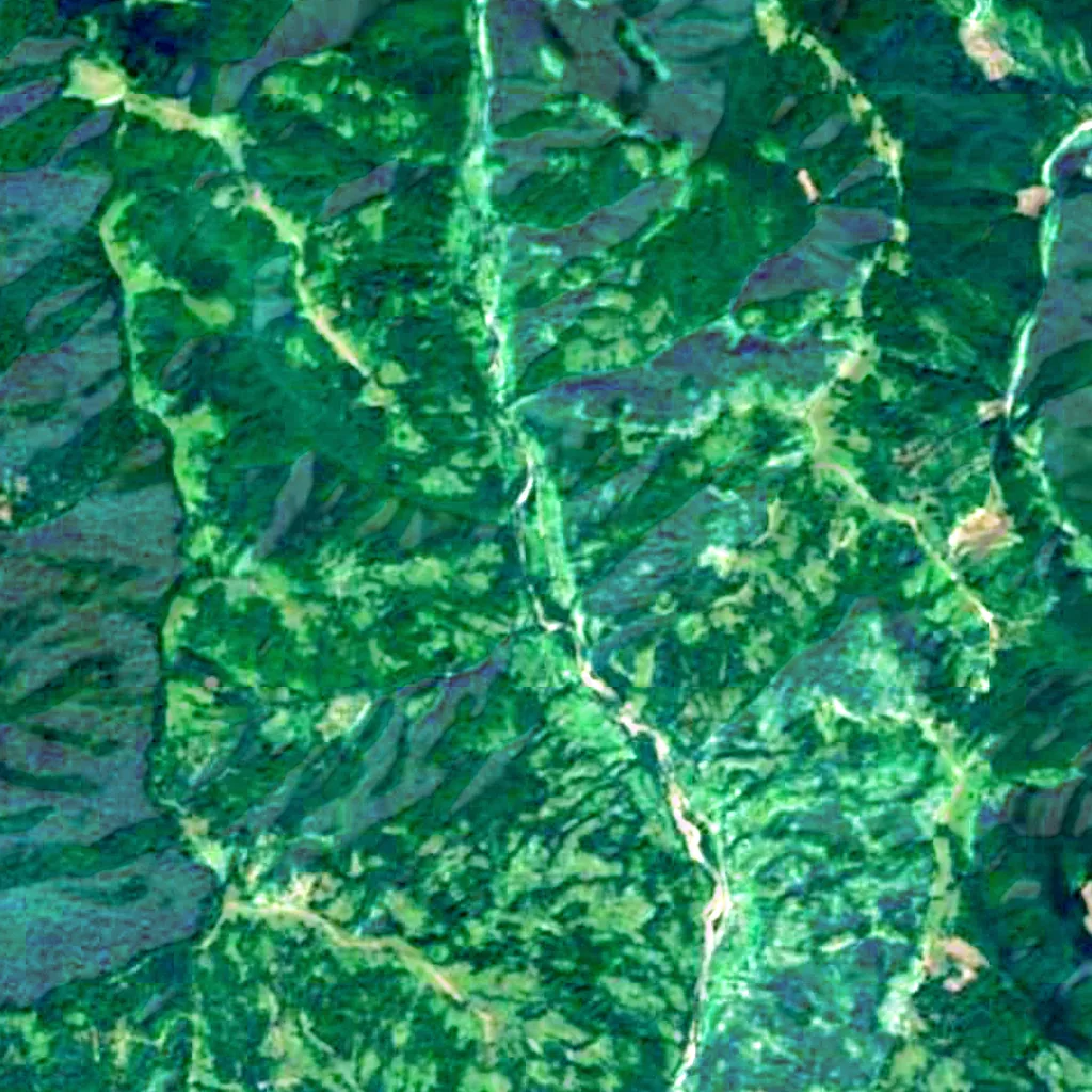 Uholka-Shyrokyi Luh primeval beech forest seen from above (Sentinel-2)