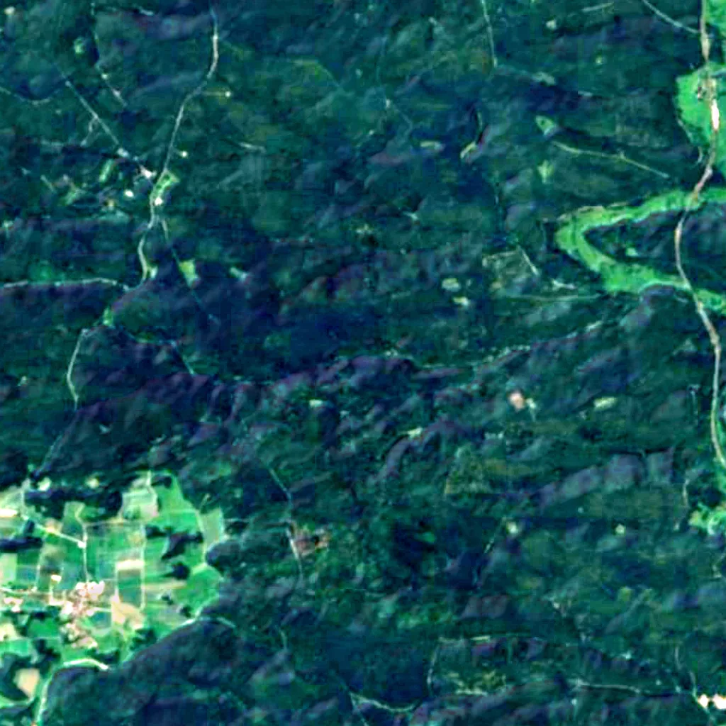 Veldensteiner Forst seen from above (Sentinel-2)