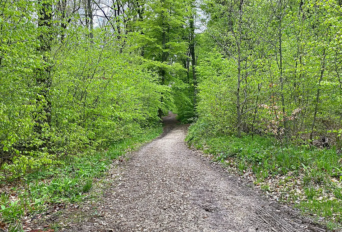 20170618 Wienerwald DSC 6064