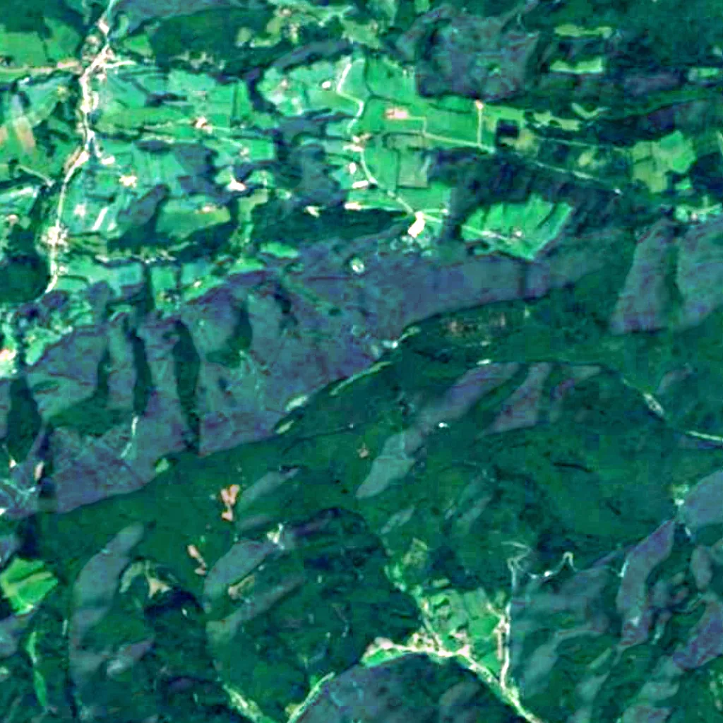 Vienna Woods seen from above (Sentinel-2)