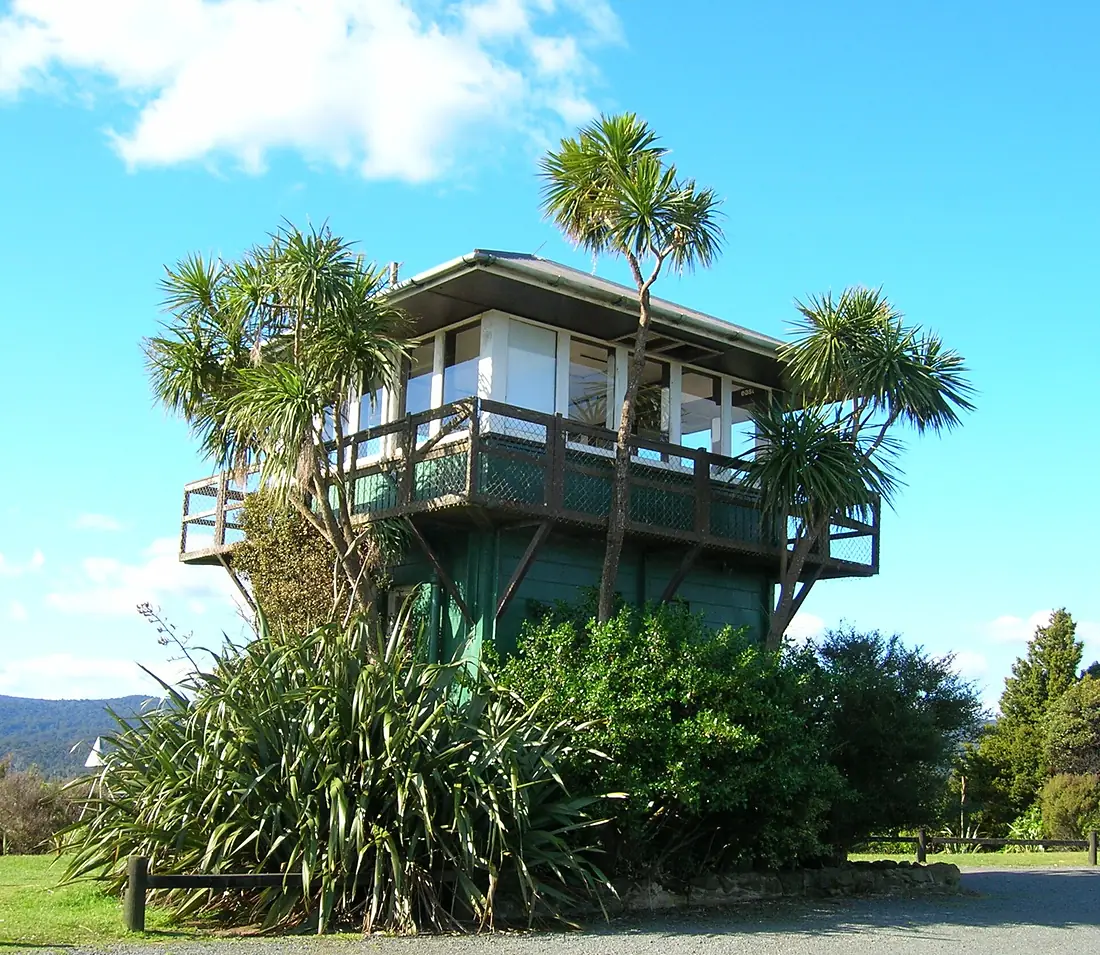 Flickr - brewbooks - Waipoua Forest (00)