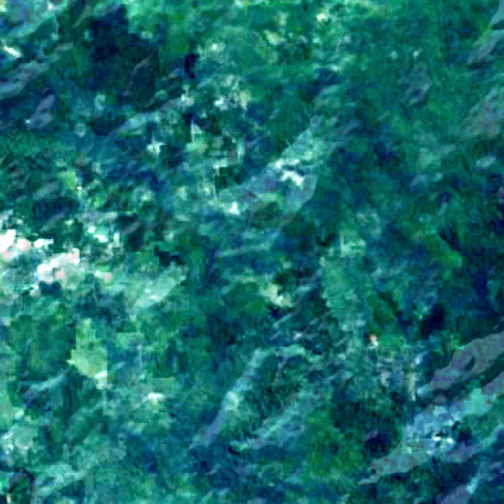 Waipoua Forest seen from above (Sentinel-2)