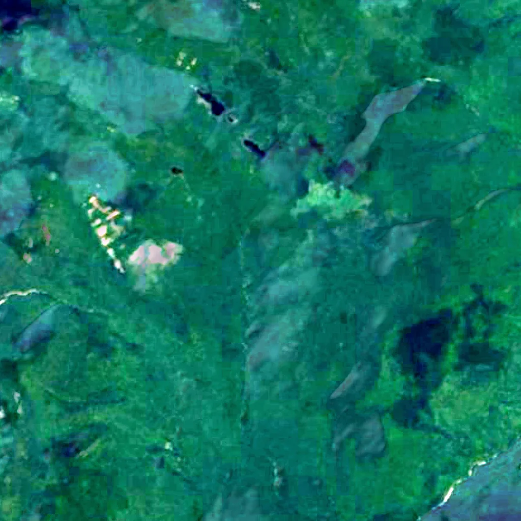 White Mountain National Forest seen from above (Sentinel-2)