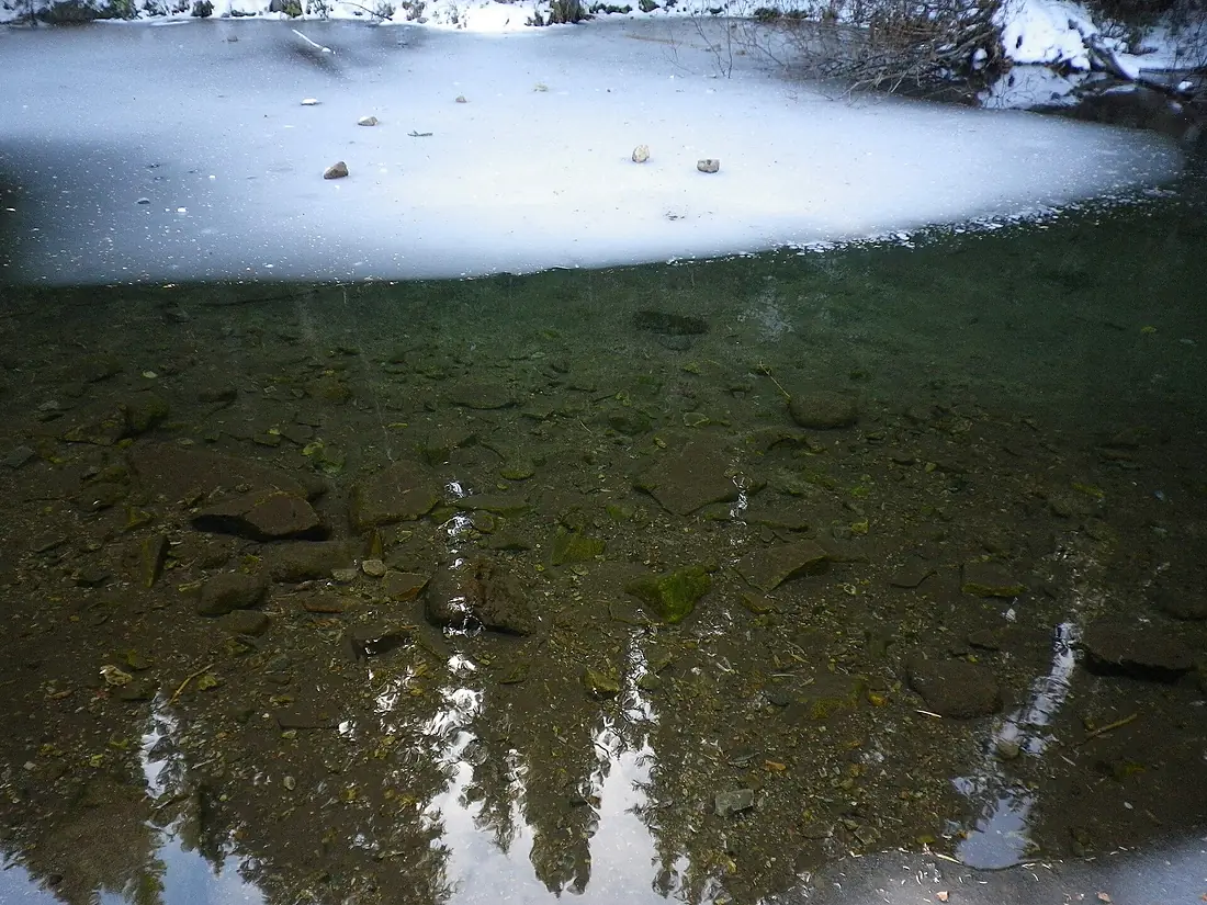 Ice disc in a small pond alongside Sally Barber Road, White River National Forest, Breckenridge, Summit Co., CO, USA - panoramio