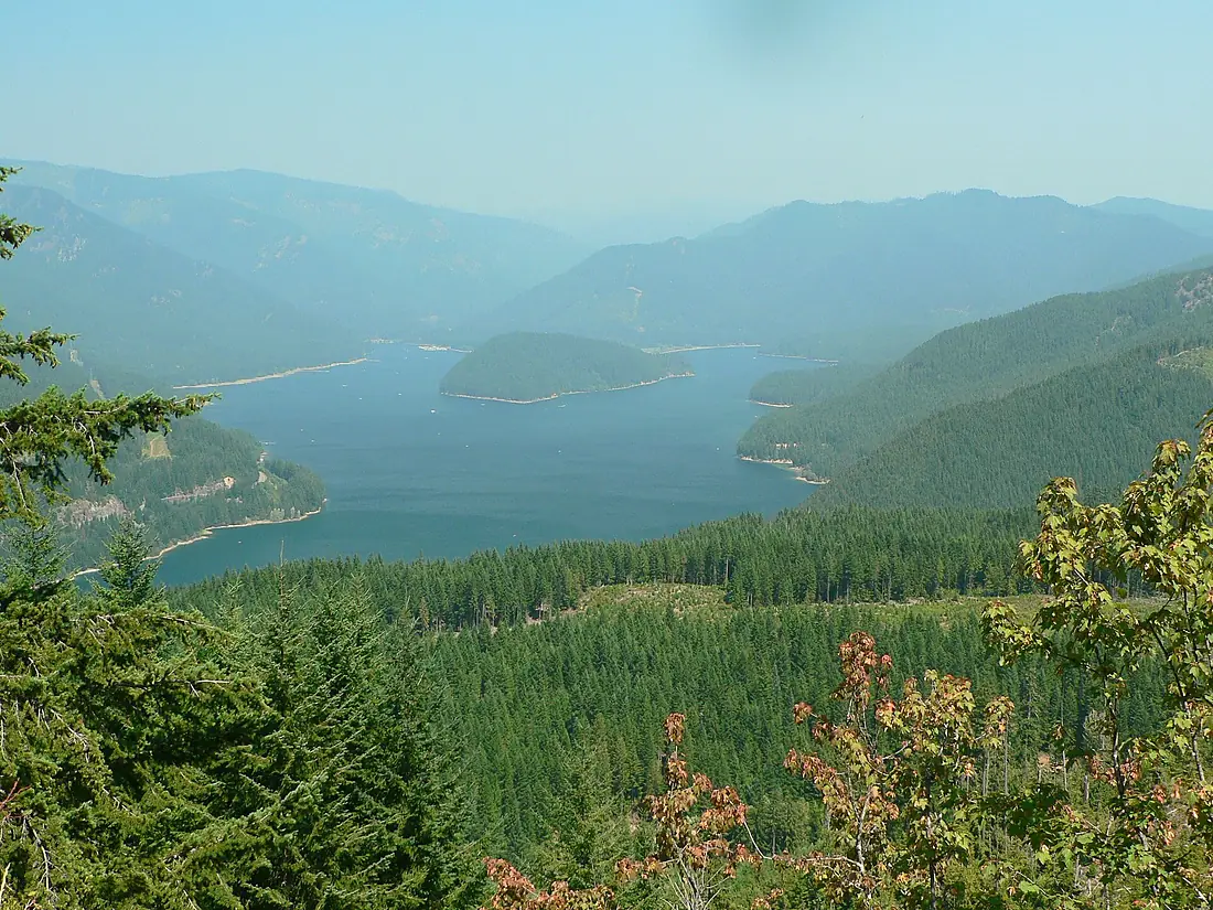 Breitenbush River and Trees, Willamette National Forest (36737276621)