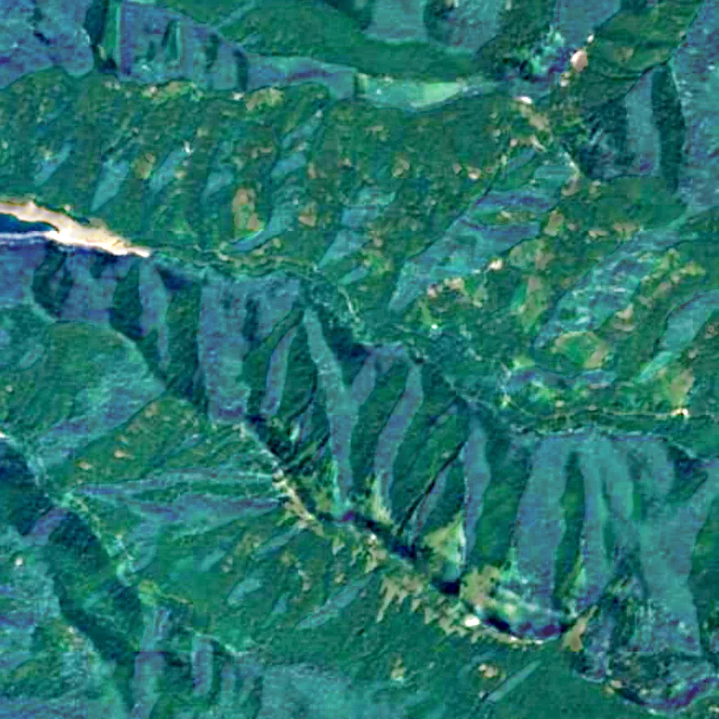 Willamette National Forest seen from above (Sentinel-2)
