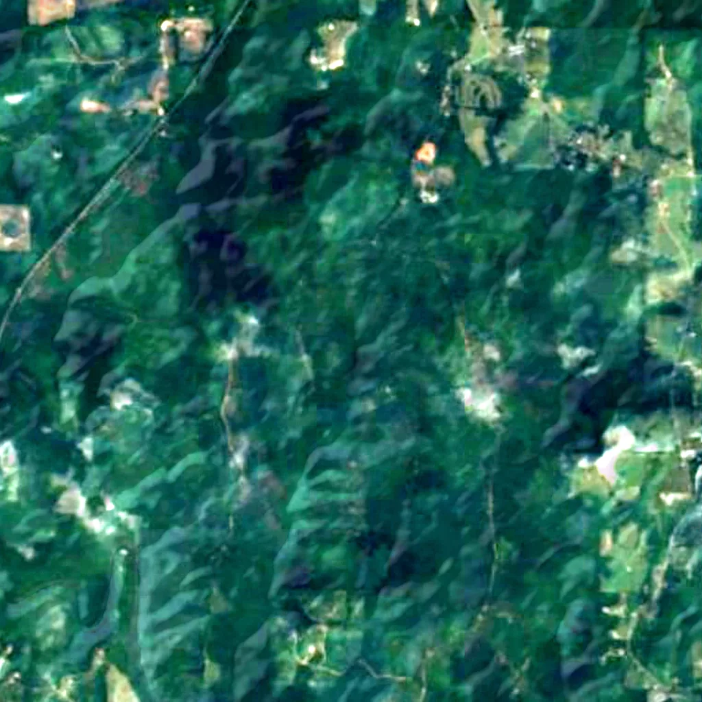 William B. Bankhead National Forest seen from above (Sentinel-2)