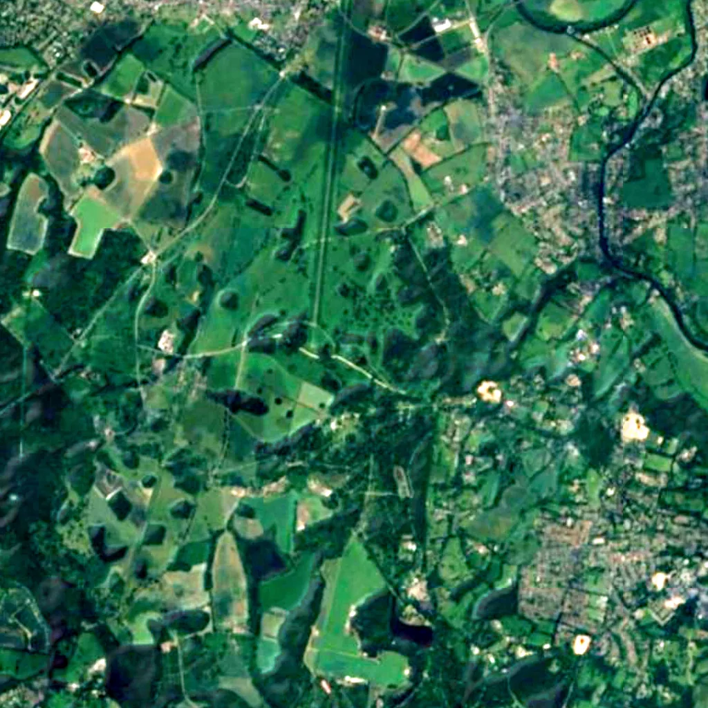 Windsor Great Park seen from above (Sentinel-2)