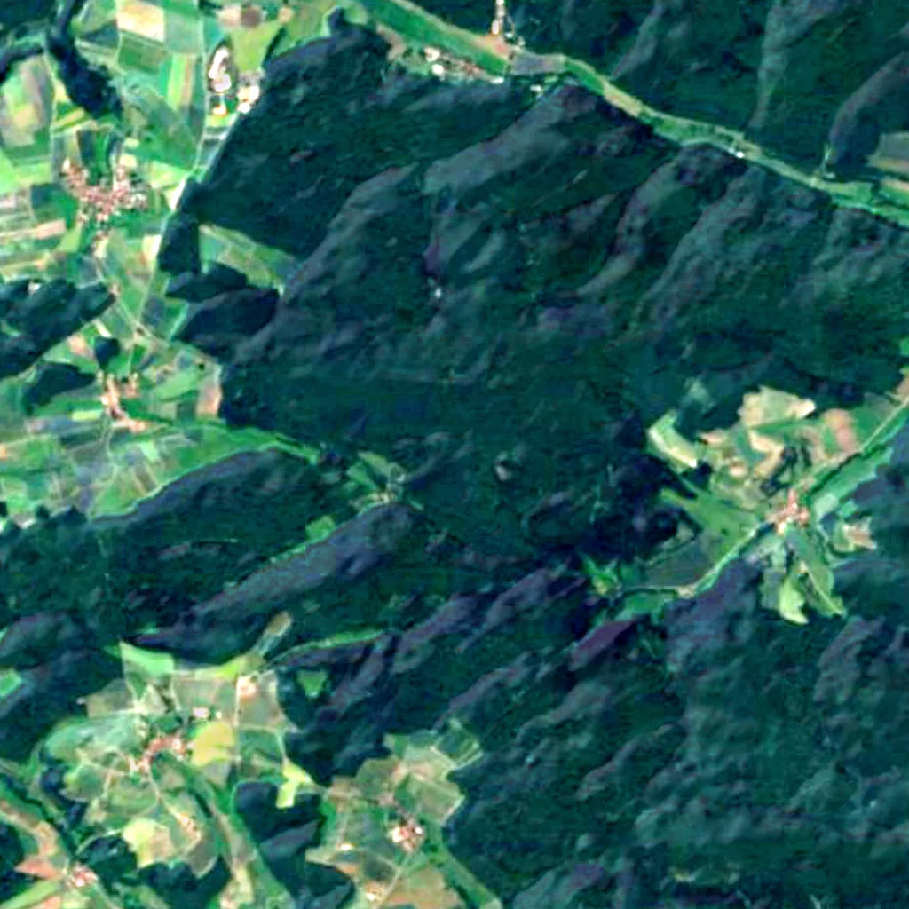Winkelhofer Forst seen from above (Sentinel-2)