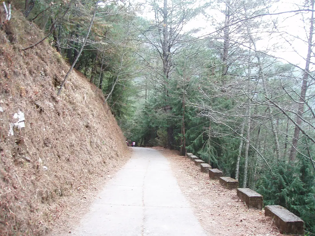 Trail in forest near Cijiawan River 01