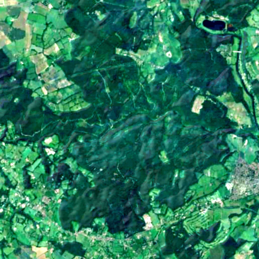 Wyre Forest seen from above (Sentinel-2)
