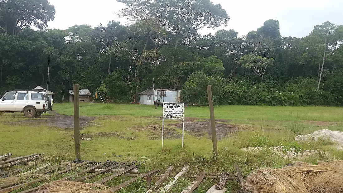 Diversity in the edge of Zika forest 02