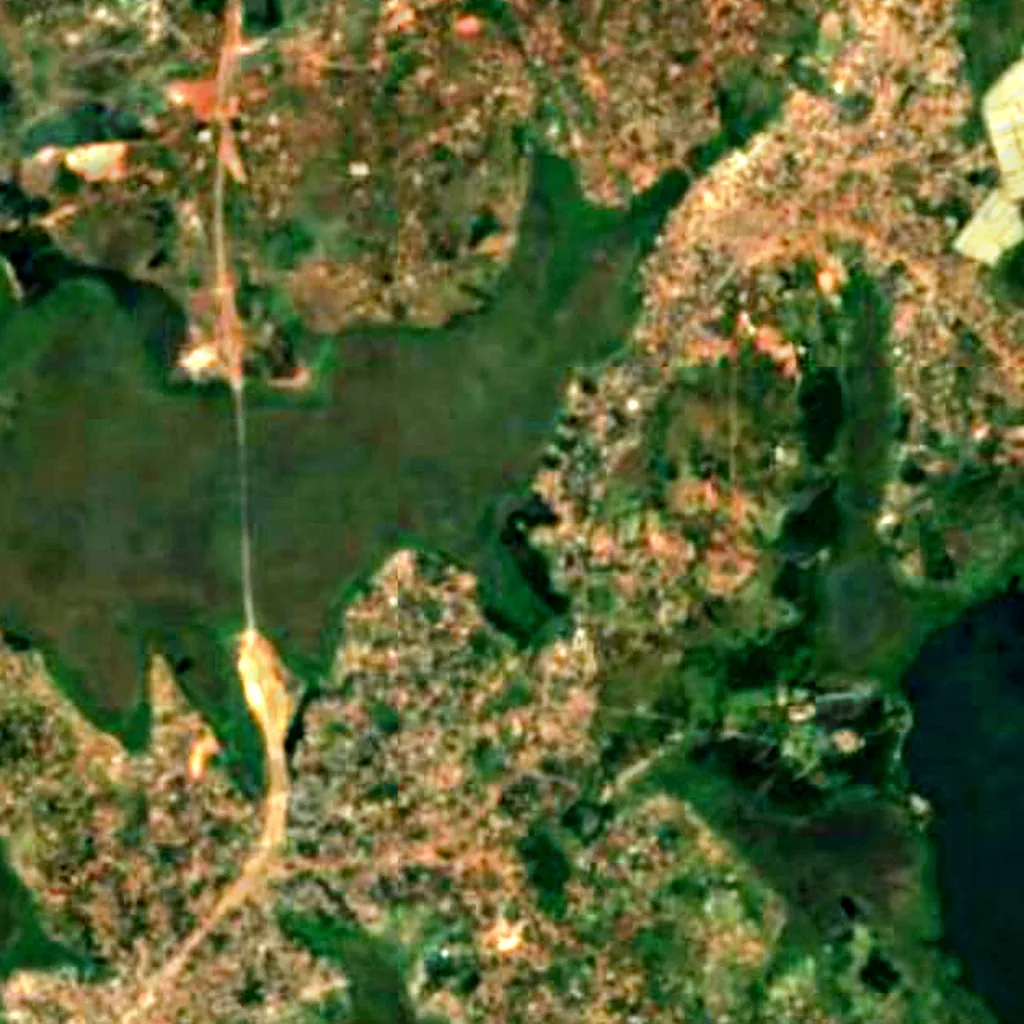 Zika Forest seen from above (Sentinel-2)